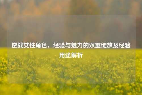 逆战女性角色,经验与魅力的双重绽放及经验用途解析
