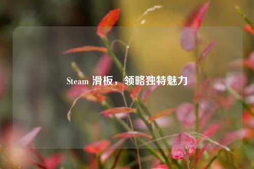 Steam 滑板，领略独特魅力