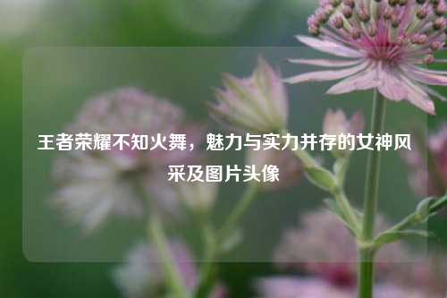 王者荣耀不知火舞,魅力与实力并存的女神风采及图片头像