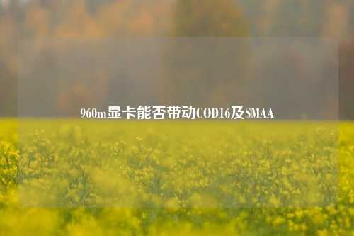 960m显卡能否带动COD16及SMAA