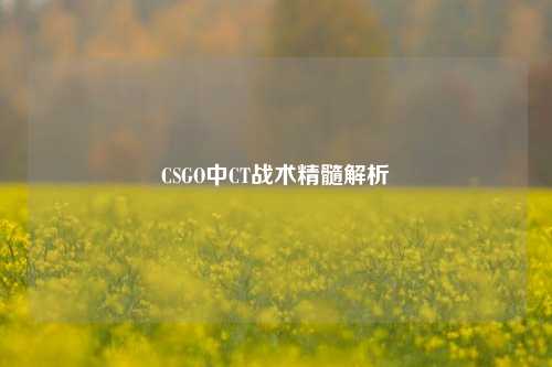 CSGO中CT战术精髓解析