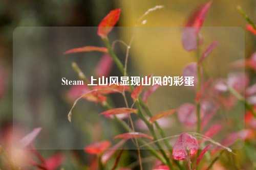 Steam 上山风显现山风的彩蛋