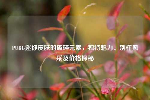 PUBG迷你皮肤的破碎元素，独特魅力、别样风采及价格探秘