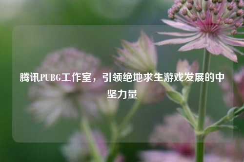 腾讯PUBG工作室，引领绝地求生游戏发展的中坚力量