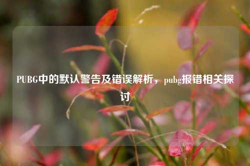 PUBG中的默认警告及错误解析,pubg报错相关探讨