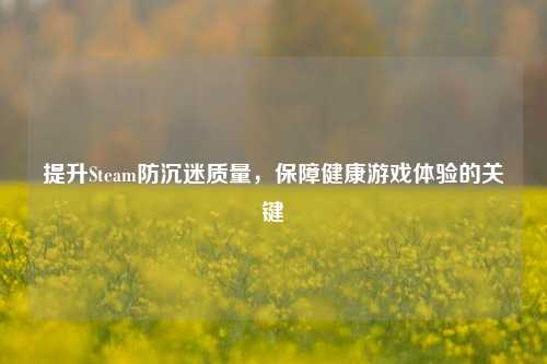 提升Steam防沉迷质量,保障健康游戏体验的关键