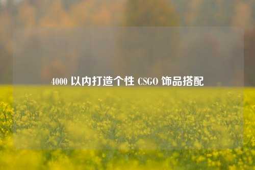 4000 以内打造个性 CSGO 饰品搭配