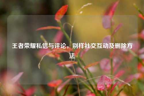 王者荣耀私信与评论,别样社交互动及删除方法