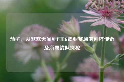 茄子,从默默无闻到PUBG职业赛场的别样传奇及所属战队探秘