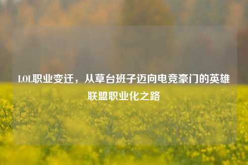 LOL职业变迁，从草台班子迈向电竞豪门的英雄联盟职业化之路