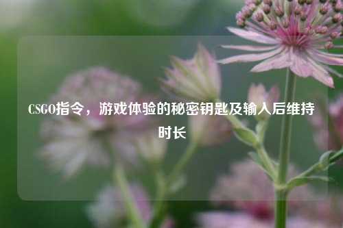 CSGO指令，游戏体验的秘密钥匙及输入后维持时长