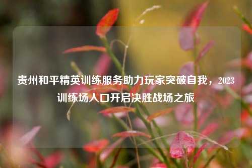 贵州和平精英训练服务助力玩家突破自我，2023训练场入口开启决胜战场之旅