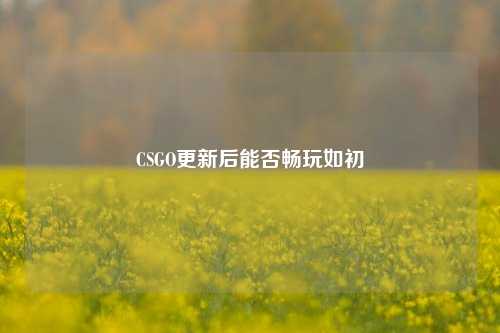 CSGO更新后能否畅玩如初