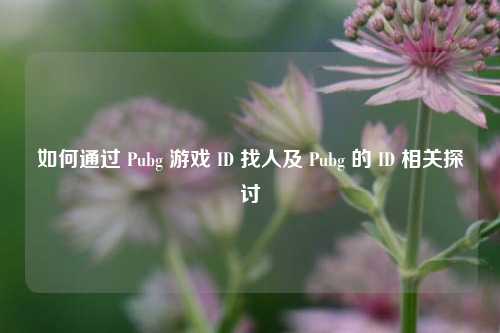 如何通过 Pubg 游戏 ID 找人及 Pubg 的 ID 相关探讨