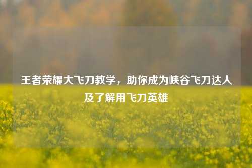 王者荣耀大飞刀教学,助你成为峡谷飞刀达人及了解用飞刀英雄