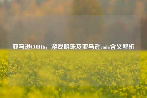 亚马逊COD16，游戏明珠及亚马逊code含义解析
