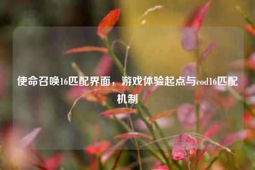 使命召唤16匹配界面，游戏体验起点与cod16匹配机制
