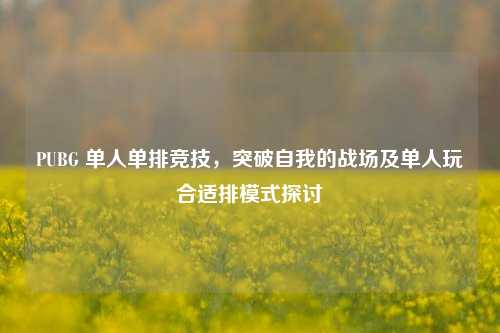 PUBG 单人单排竞技，突破自我的战场及单人玩合适排模式探讨