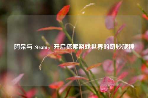 阿呆与 Steam，开启探索游戏世界的奇妙旅程