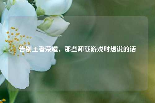 告别王者荣耀，那些卸载游戏时想说的话