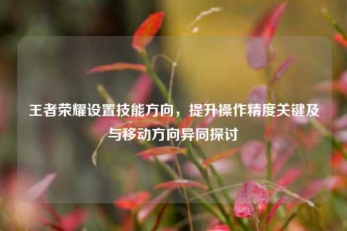 王者荣耀设置技能方向，提升操作精度关键及与移动方向异同探讨