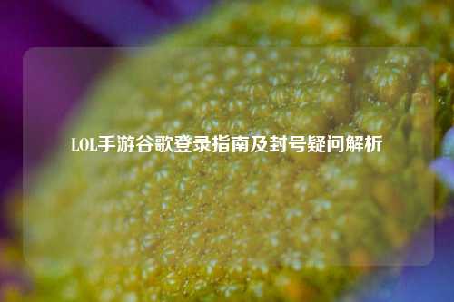 LOL手游谷歌登录指南及封号疑问解析