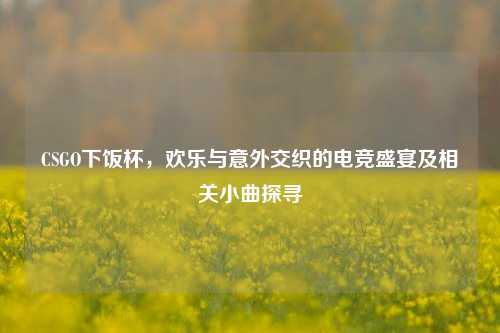 CSGO下饭杯，欢乐与意外交织的电竞盛宴及相关小曲探寻