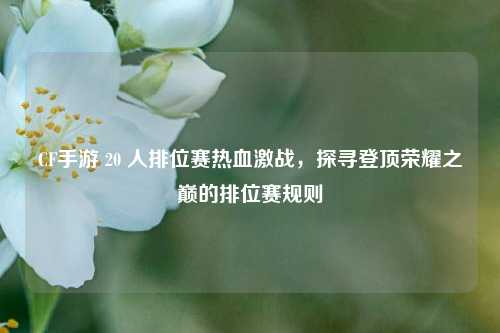 CF手游 20 人排位赛热血激战,探寻登顶荣耀之巅的排位赛规则