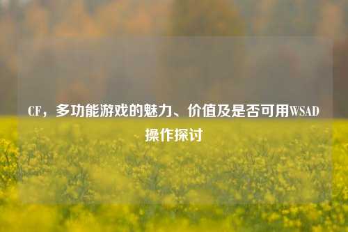 CF,多功能游戏的魅力、价值及是否可用WSAD操作探讨