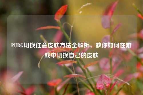 PUBG切换任意皮肤方法全解析,教你如何在游戏中切换自己的皮肤