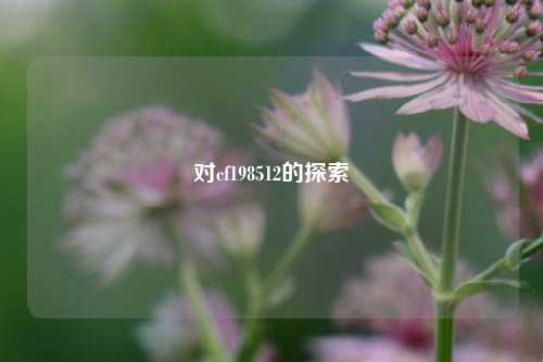 对cf198512的探索
