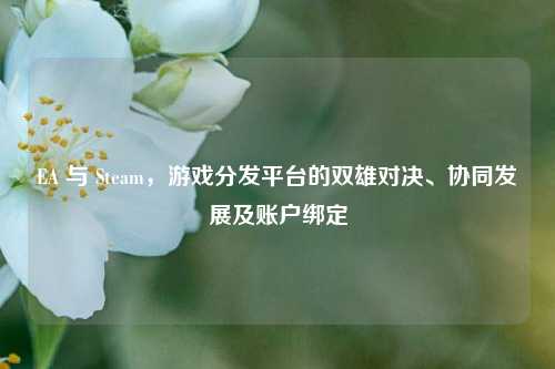 EA 与 Steam,游戏分发平台的双雄对决、协同发展及账户绑定