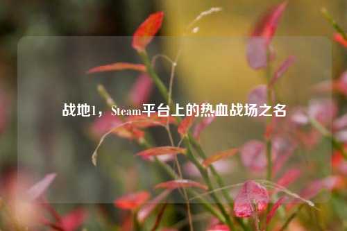 战地1，Steam平台上的热血战场之名