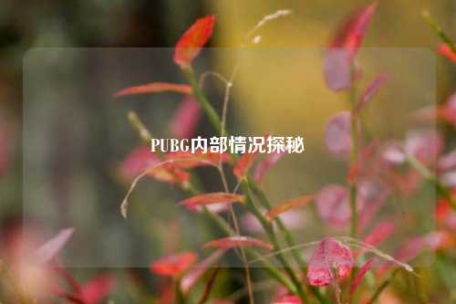 PUBG内部情况探秘