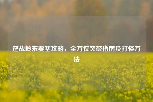逆战岭东要塞攻略，全方位突破指南及打怪方法