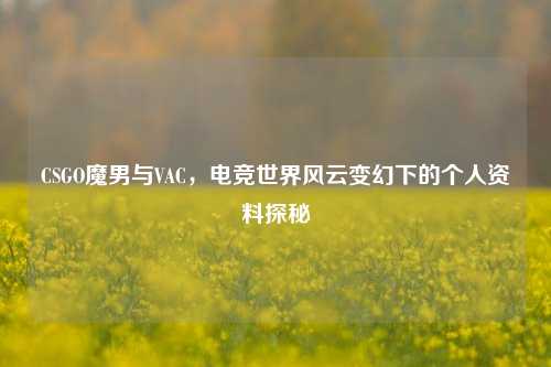 CSGO魔男与VAC,电竞世界风云变幻下的个人资料探秘