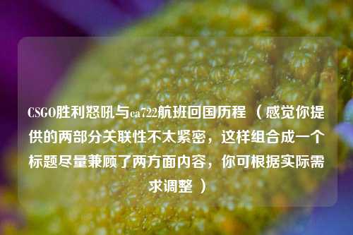 CSGO胜利怒吼与ca722航班回国历程 （感觉你提供的两部分关联性不太紧密，这样组合成一个标题尽量兼顾了两方面内容，你可根据实际需求调整 ）