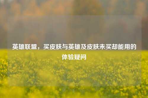 英雄联盟,买皮肤与英雄及皮肤未买却能用的体验疑问