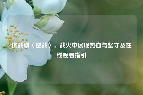 抗战剧〈逆战〉，战火中展现热血与坚守及在线观看指引