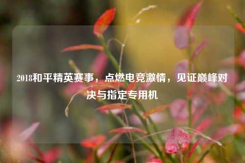 2018和平精英赛事,点燃电竞激情,见证巅峰对决与指定专用机
