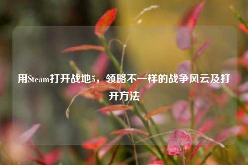 用Steam打开战地5,领略不一样的战争风云及打开方法