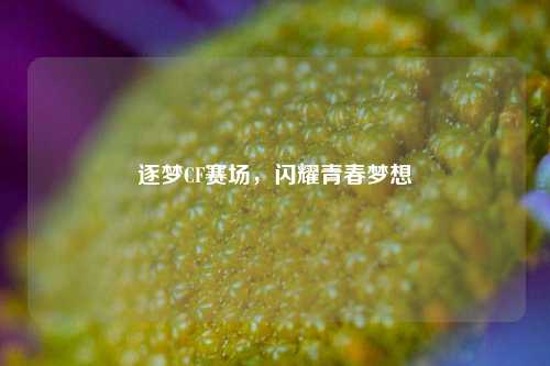 逐梦CF赛场，闪耀青春梦想