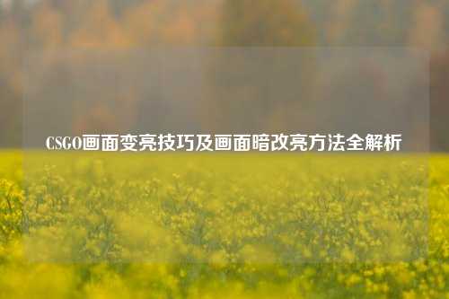 CSGO画面变亮技巧及画面暗改亮方法全解析