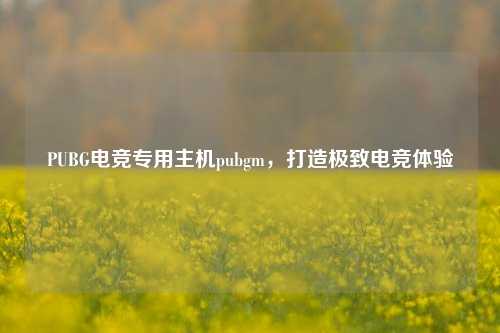 PUBG电竞专用主机pubgm，打造极致电竞体验