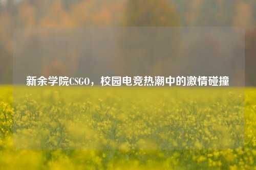 新余学院CSGO，校园电竞热潮中的激情碰撞