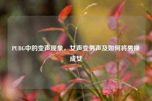 PUBG中的变声现象，女声变男声及如何将男换成女