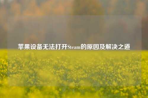 苹果设备无法打开Steam的原因及解决之道