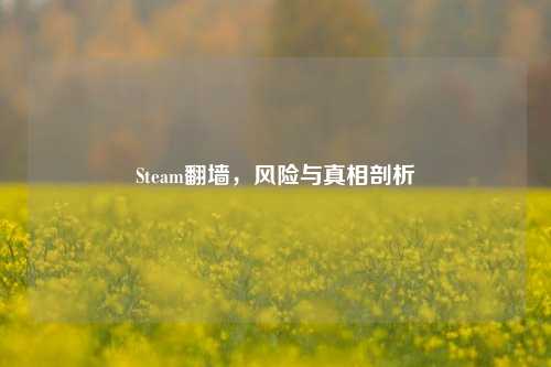 Steam翻墙，风险与真相剖析