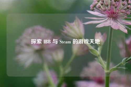 探索 IBB 与 Steam 的游戏天地