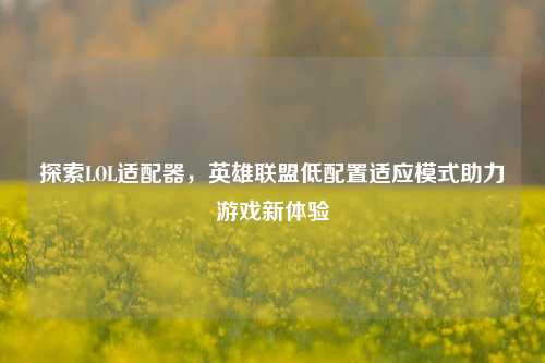 探索LOL适配器，英雄联盟低配置适应模式助力游戏新体验